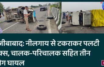 नजीबाबाद: नीलगाय से टकराकर पलटी मैक्स, चालक-परिचालक सहित तीन लोग घायल