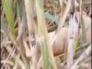 बिजनौर: राजकीय आईटीआई बिजनौर में कल होगा प्लेसमेंट ड्राइव